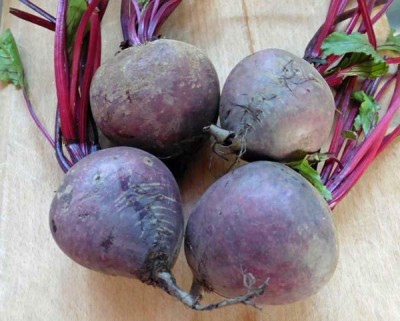 MYLAWN Organic Beetroot Turnip Egyptian Seed(1500 per packet)