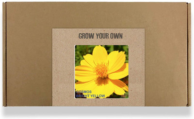 CYBEXIS Cosmos BL Flower Seeds100 Seeds Seed(100 per packet)