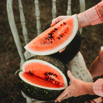 Biosnyg Heirloom Moon and Stars Watermelon Fruit Seeds For Gardening-(100 Seeds) Seed(100 per packet)