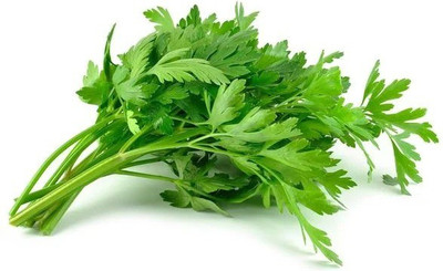 CYBEXIS PARSLEY SEEDS2800 Seeds Seed(2800 per packet)