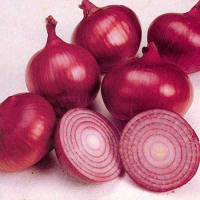Quentova Nasik Onion-VII-6E Seed(250 per packet)