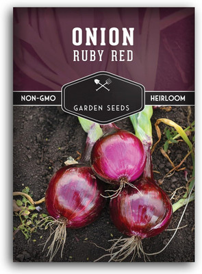 Biosnyg Ruby Red Onion Seeds for Planting-2500 Seeds/10gm Seed(2500 per packet)