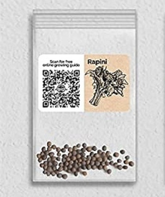 WILLVINE Non-GMO F1 HybridRapini-5000 Seeds Seed(5000 per packet)