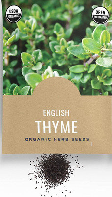 CYBEXIS XL-97 - Thyme for Planting - (1350 Seeds) Seed(1350 per packet)