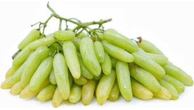 Oliver GRAPE SEEDS Seed(21 per packet)