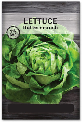 Quentova Buttercrunch Lettuce 2.5gm-VIC-6R Seed(2000 per packet)