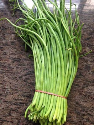 KANAYA Fresh Green Beans Singra Seed(450 per packet)