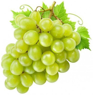 Oliver GRAPE FRUIT SEED Seed(35 per packet)