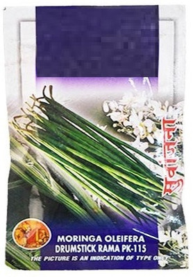 KNESSiN Organic Moringa Seeds ODC 3 / Drumstick seeds Seed(50 per packet)