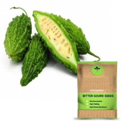 VibeX ® XLR-355 High Growth Bitter Gourd (Karela) Seeds Seed(50 per packet)