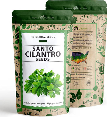 VibeX TLX-58 - Cilantro (Santo) - (750 Seeds) Seed(750 per packet)