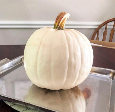 KNESSiN Early-Maturing White Queen Pumpkin (120 Seeds) Seed(120 per packet)