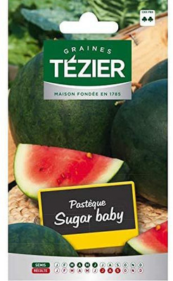 CYBEXIS Watermelon Sugar Baby (Watermelon) Seeds400 Seeds Seed(400 per packet)