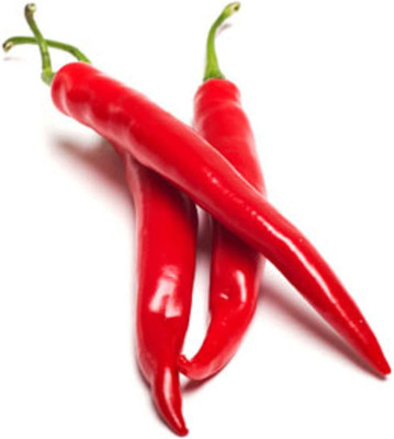 CYBEXIS F1 Hybrid Rare Red Chili Seeds2000 Seeds Seed(2000 per packet)