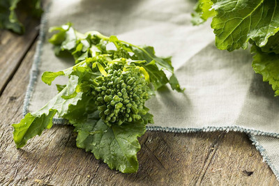 WILLVINE NKR -I Spring Rapini (Raab) - Broccoli Seeds [25g]- 7500 Seeds Seed(25 g)