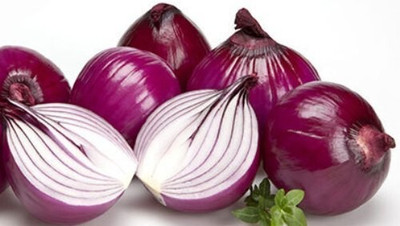 Quentova Nasik Onion Red Pyaaj-VS-9E Seed(250 per packet)