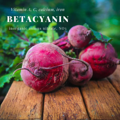 MYLAWN High Quality Red Beauty Beetroot Seed(100 per packet)