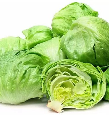MAA Lettuce, Iceberg Seed(112 per packet)