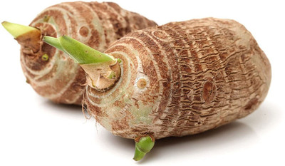 KANAYA Taro Root/Arbi Bulbs Seed(5 per packet)