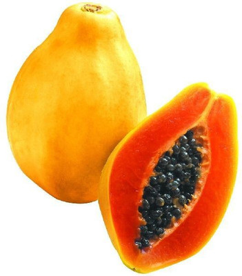 Farmonix PAPITA PAPAYA SEED Seed(100 per packet)