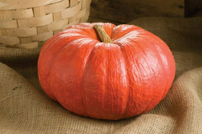 CRGO DIOART-AQW-™Seeds Pumpkin Red Kavbuz-150 SEEDS-PS1068 Seed(150 per packet)