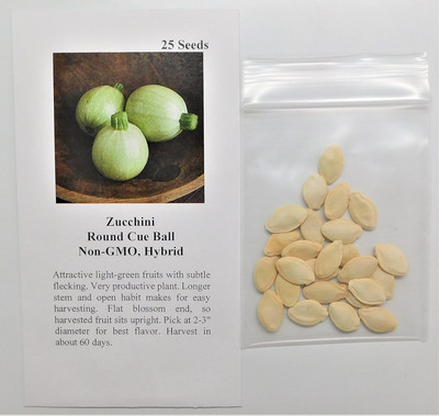 Qualtivate HYB-3A Zucchini Round Cue Ball Seed(30 per packet)