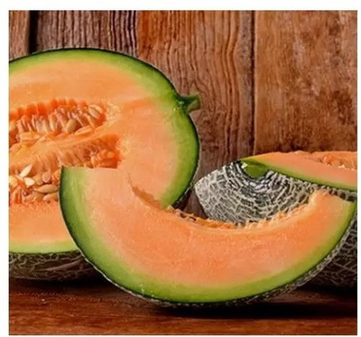 MRCY Musk Melon/ Cantaloupe/ Hami melon Seed(500 per packet)