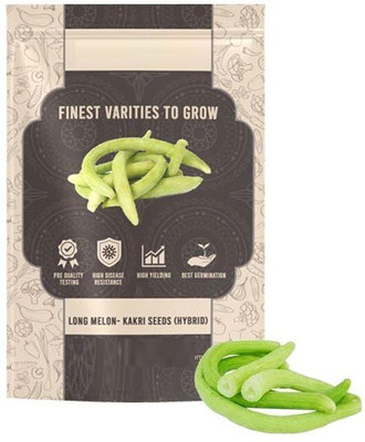 VibeX GBPUT-44 - Hybrid Thin Long Cuccumber Long Melon - (1350 Seeds) Seed(1350 per packet)