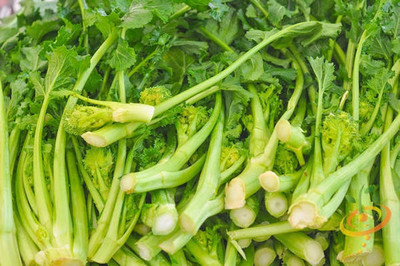 KNESSiN Broccoli Rapini Broccoli Seed(1250 per packet)