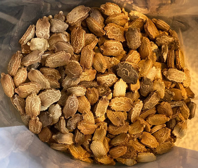 GREENSEA High Yielding Bitter Gourd, Uchchhe, Karela Seed(35 per packet)