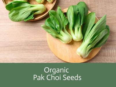 Atlus Pak Choi - Seeds - Organic & Non Gmo - Heirloom Seed(50 per packet)