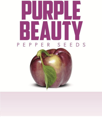 KNESSiN Organic Purple Beauty Capsicum Seeds For Planting-(100 Seeds) Seed(100 per packet)