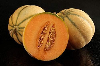 Qualtivate HUA-8A Tuscan Cantaloupe - Super-Sweet Musk Melon Seed(200 per packet)