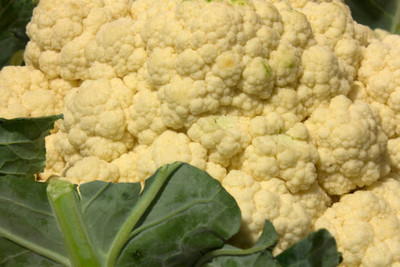 Bahan Traders white cauliflower,gobhee seeds Seed(15 per packet)