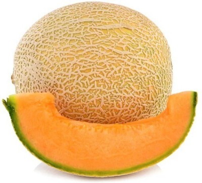 Quentova Muskmelon / Kharbooja Ke Beej-PAUS-8R Seed(150 per packet)