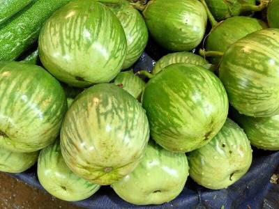 KNESSiN Green Brinjal Baigan/Vangi/Begun/Katharikai Vegetable ( Seeds) Seed(2000 per packet)