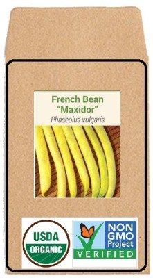 KNESSiN French Bean Maxidor Seed(50 per packet)