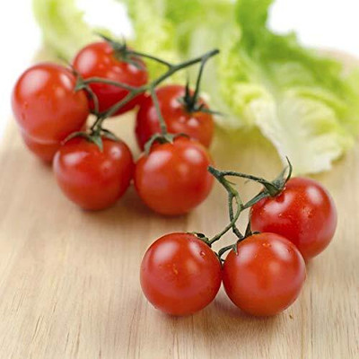 WILLVINE Dwarf Tiny Tim Cherry Tomato [25g, 7500 Seeds] Seed(7500 per packet)