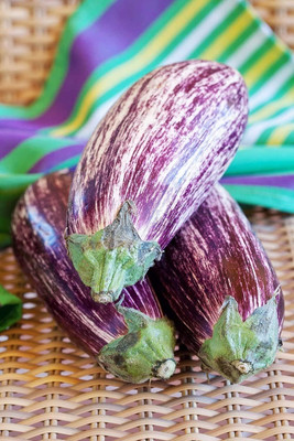 KNESSiN Brinjal White-Purples Seed(200 per packet)