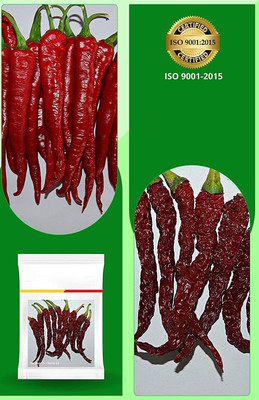 WILLVINE ROX -II Byadgi chilli |Kashmiri chilli | Sona-63 Chilli seeds[25gm, 5000 Seeds] Seed(5000 per packet)