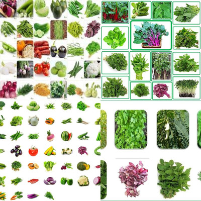 ibains High breed vegetable seeds biij 236 Seed(204 per packet)