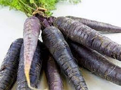 DIVINE CARROT Seed(65 per packet)