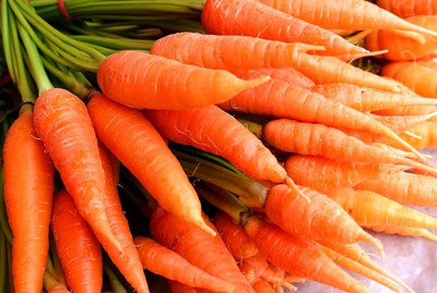 BDSresolve Hybrid carrot seeds PACK OF 152 Seed(152 per packet)