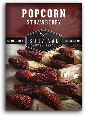 VibeX ® VLR-660 Strawberry Popcorn Seed Seed(500 per packet)
