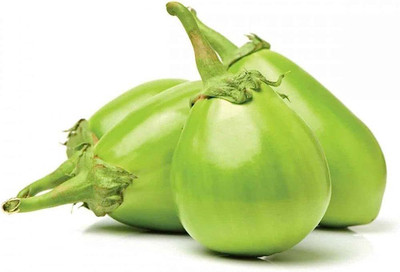 SBGARDEN hubrid brinjal seedss / brinjal seeds 19 Seed(52 per packet)
