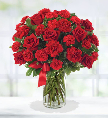 Epazo Carnation Flower Mixed Colour F1 Hybrid Seed(50 per packet)