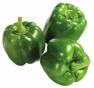 GREENSEA Hybrid Capsicum, Shimla Mirchi Seed(50 per packet)