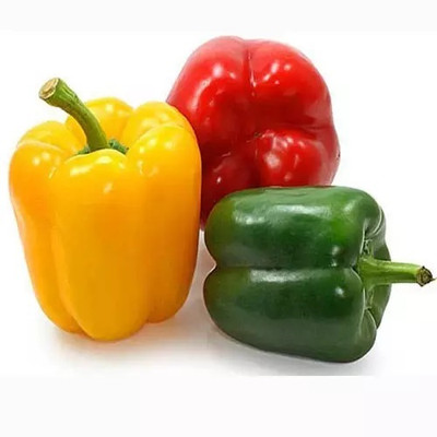 VASUDHA Organic Capsicum/Bell Pepper Mixed Seed(250 per packet)