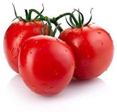 TRICONE Hybrid Tomato 1057 Plant Seeds Tamatar Beej 200 Seeds GG23 Seed(200 per packet)