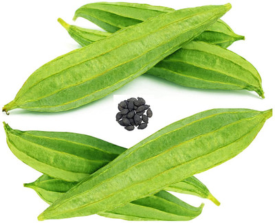 Qualtivate PUAS-4A Tori / Ridge Gourd Seed Seed(50 per packet)